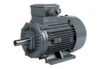 Háromfázisú villanymotor (3)