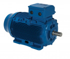 WEG motor 500 kW-ig (2)